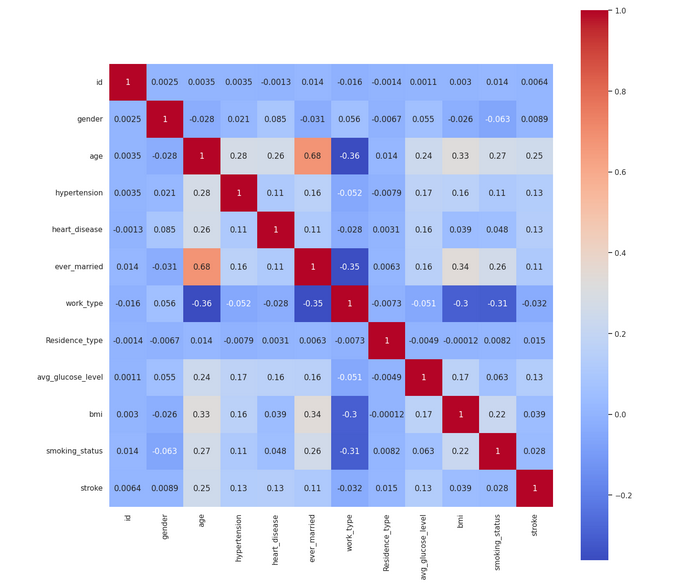 Stroke Prediction using Machine Learning Models